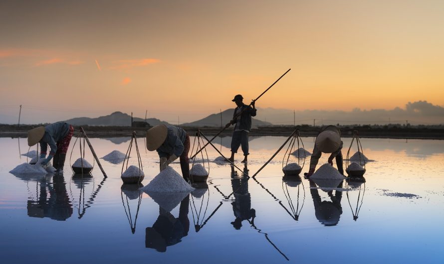 应对免费和付费约会软件中的幽灵鬼魂现象