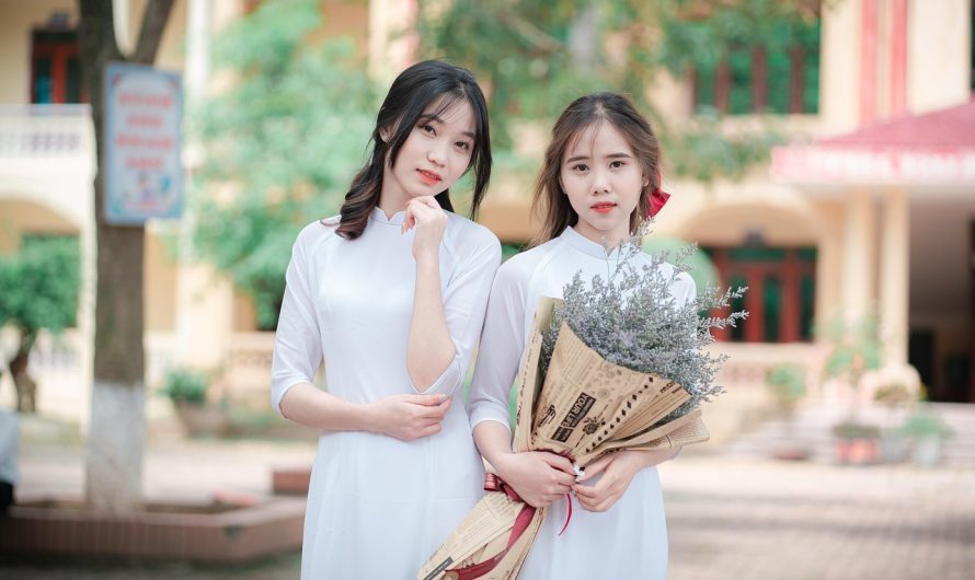 在线隐私保护的自白免费与付费功能的较量