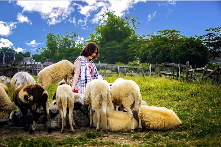 如何优雅地处理害羞的聊天伙伴