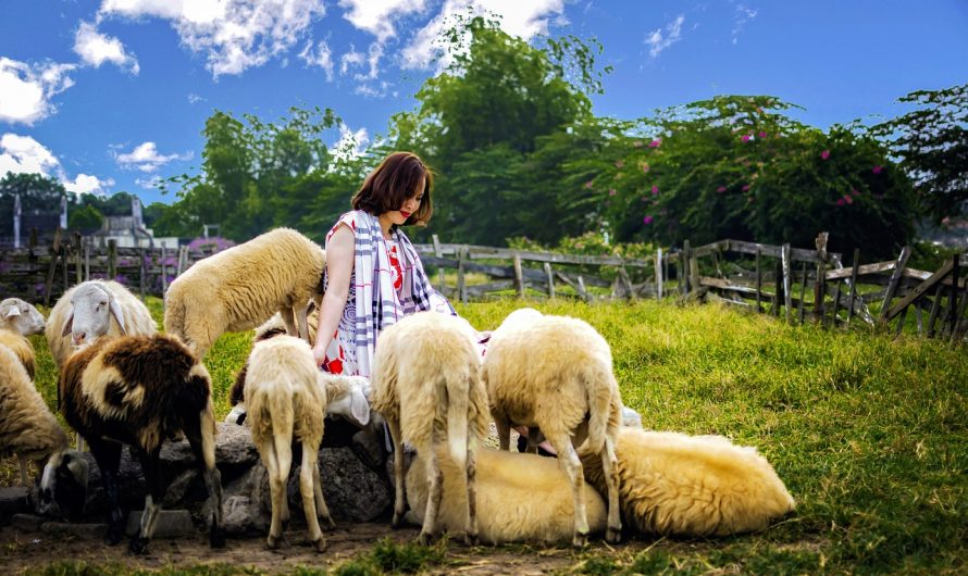 如何优雅地处理害羞的聊天伙伴