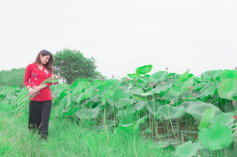 通过声音和手势进行创造性的调情