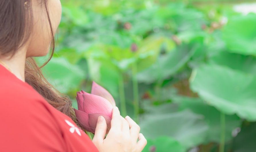 在线约会新手的真实故事