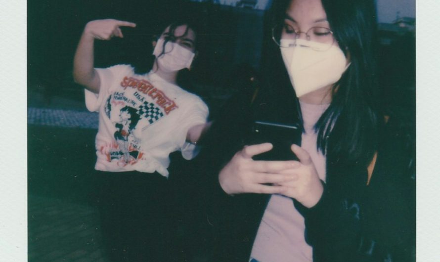 数字浪漫全解析专家揭秘在线恋爱真相