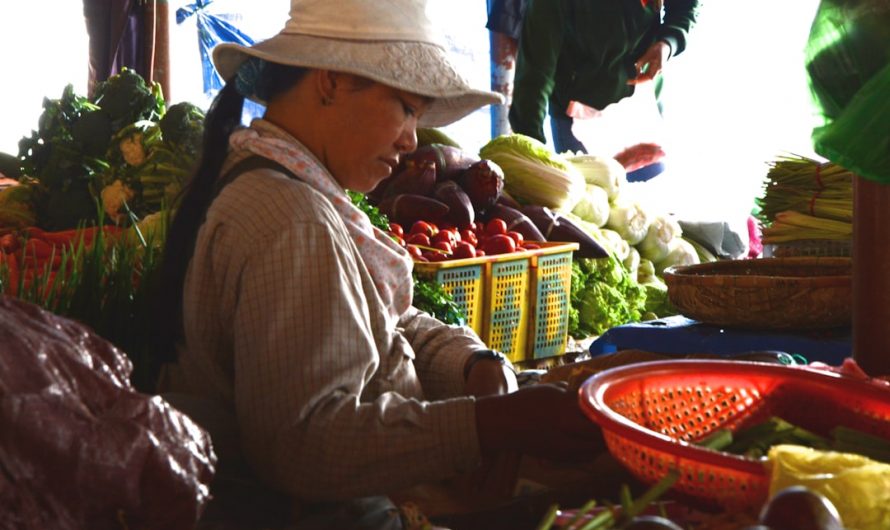 网络爱情的奥秘：为什么人们会爱上网络上的陌生人